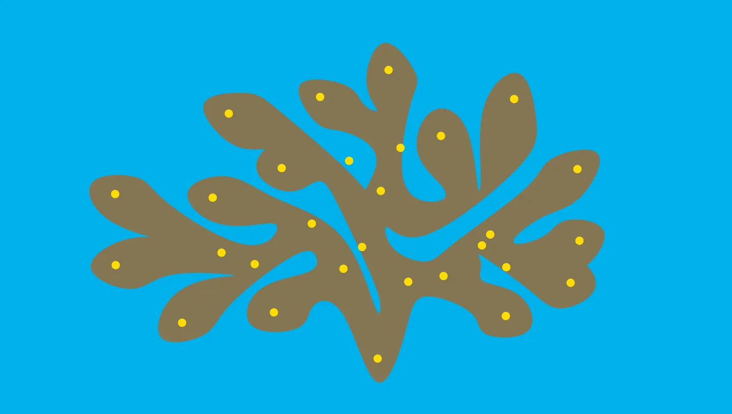 Dot Series