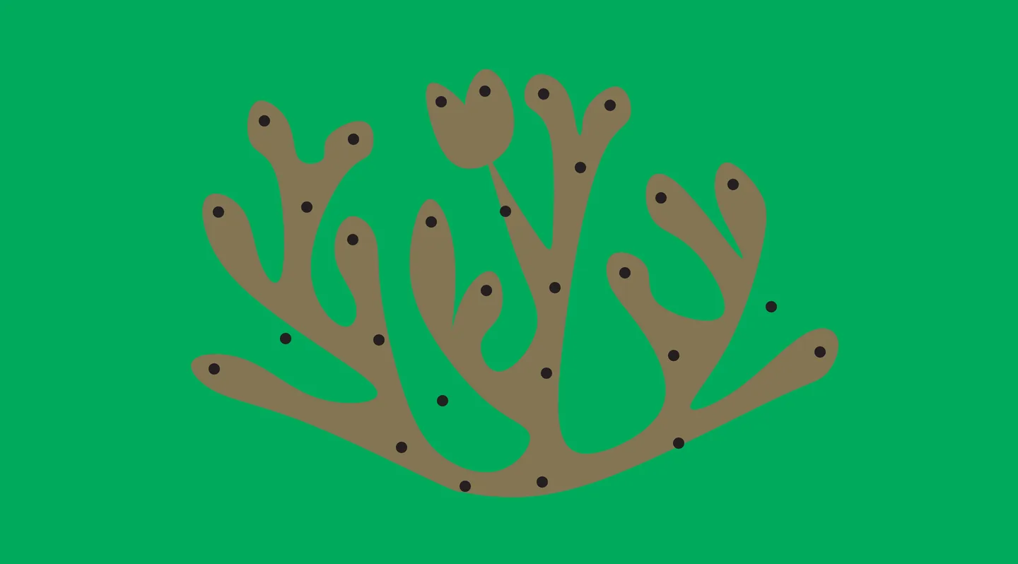Dot Series